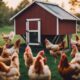 automatic chicken coop doors