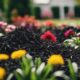 black mulch garden enhancement