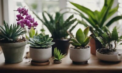 choosing plants for interiors