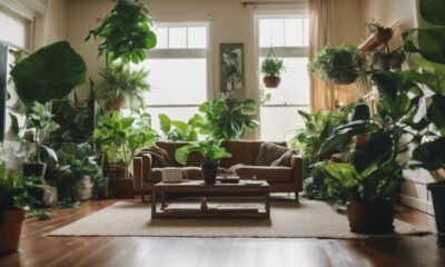 decorative plants for stylish interiors