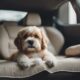 dog friendly car interiors preferred