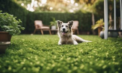 dog repellents for garden