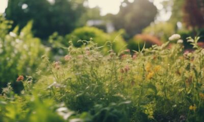 effective weed killer sprays