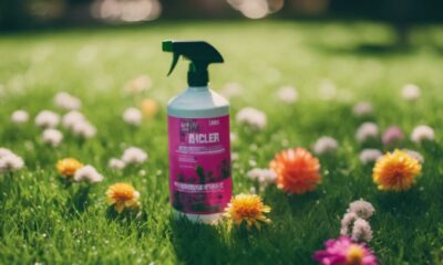 effective weed killers for lawns