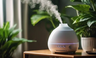 home humidifiers for healthier air