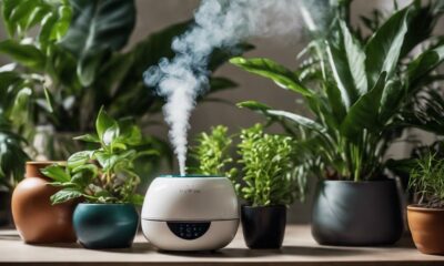 humidifiers for thriving plants