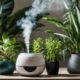 humidifiers for thriving plants
