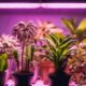 indoor garden lighting solutions