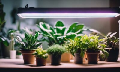 indoor gardening with plant lights