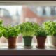 indoor herb garden ideas