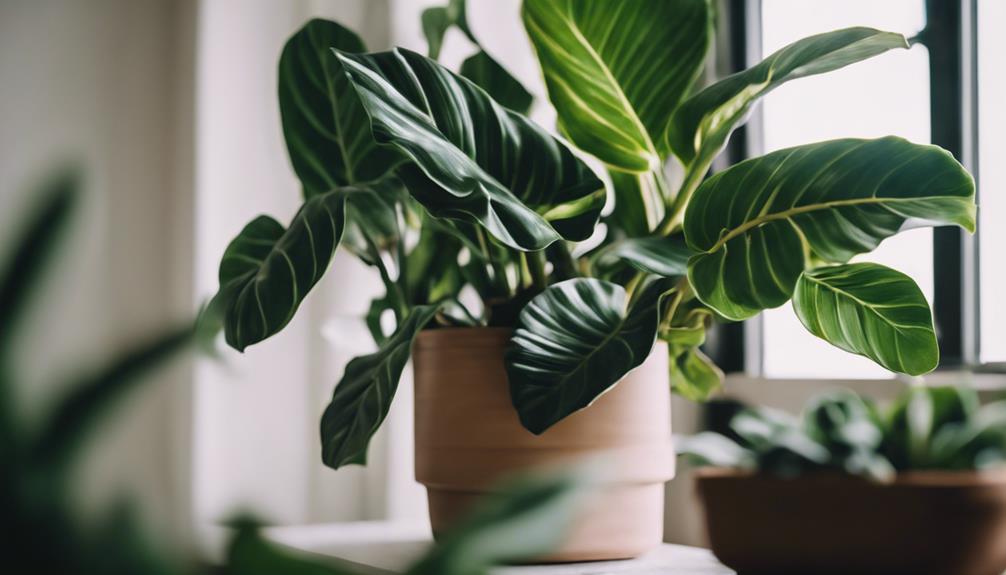 leafy plants for indoors