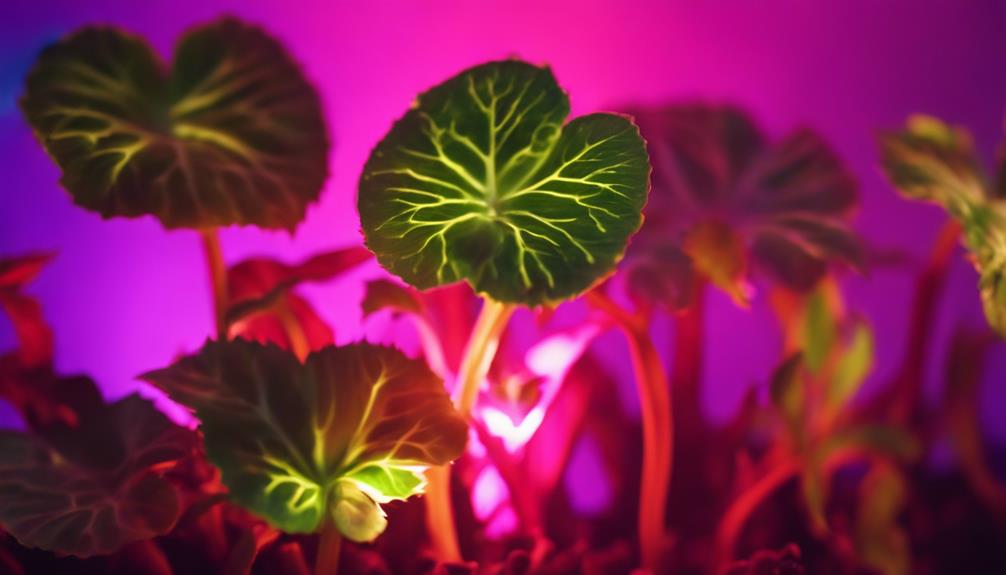 leds enhance plant growth