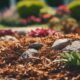 mulch options for gardens