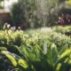 optimal garden irrigation solutions