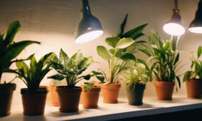 optimal indoor grow lights