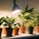 optimal indoor grow lights