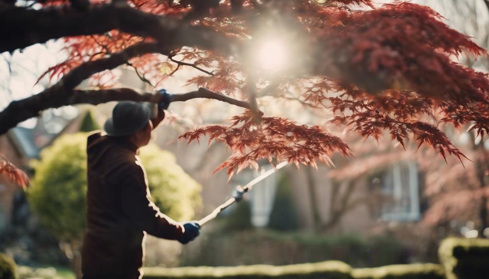 optimal pruning for japanese maples