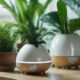 plant humidifiers for indoor gardens