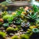 terrarium plant recommendations list