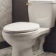 toilet seat upgrade options