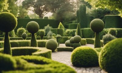topiary design ideas garden