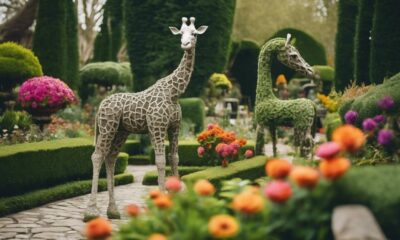 topiary ideas for gardens