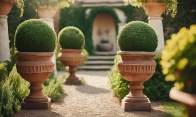 topiary making and decorating guide