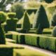 topiary plant selection guide