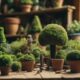 topiary projects for beginners