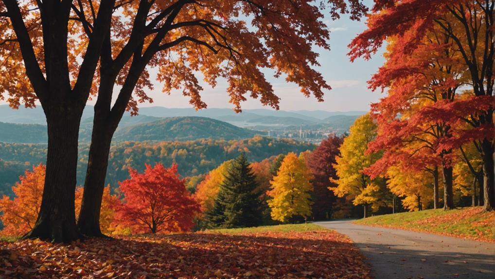 vibrant red maple trees