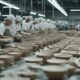 world tableware production locations