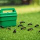 yard pest control solutions