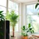 enhancing indoor air quality