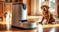 automatic feeders for pets