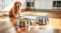 mess free dog feeding solutions