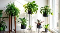 stylish plant display options