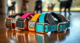 top dog training collars