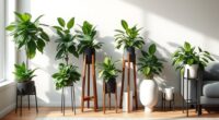 stylish elevating plant stands