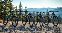 luxury mountain bike selection