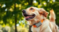 top pet gps trackers 2025