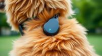 top lte gps pet trackers
