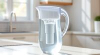 top water filter pitchers