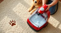 top pet carpet cleaning tools