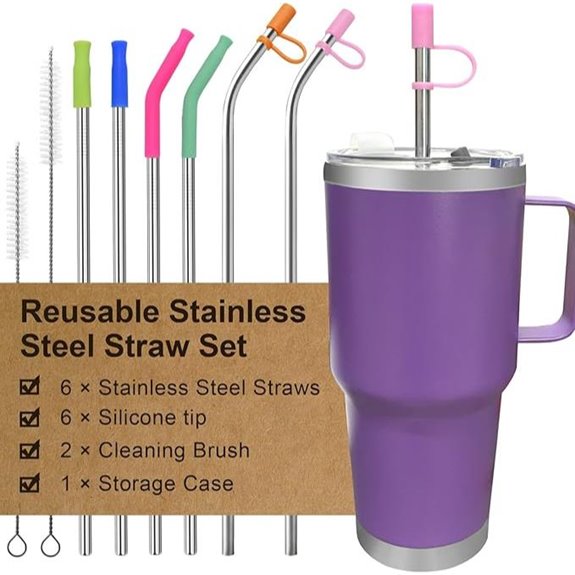 Reusable Stainless Steel Straws Set with Silicone Tips