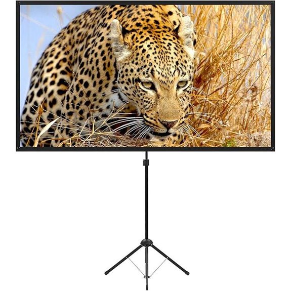Portable 80-Inch Outdoor Projector Screen with Stand