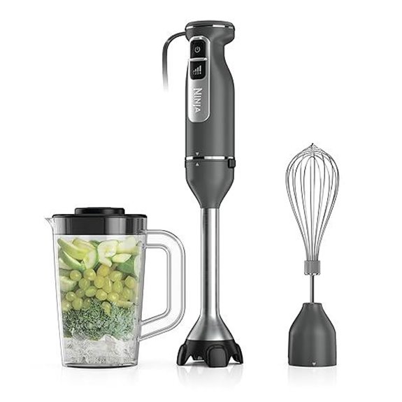 Ninja Immersion Blender & Whisk 4 Speeds Gray