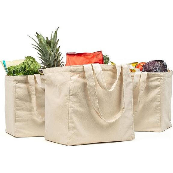 VeraMia Canvas Grocery Bags 3-Piece Set