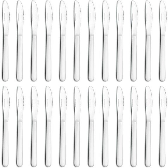 24-Piece Stainless Steel Dinner Knife Set