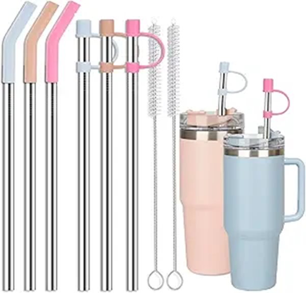 Stainless Steel Straws for Stanley 40 oz Tumbler (6 Pack)