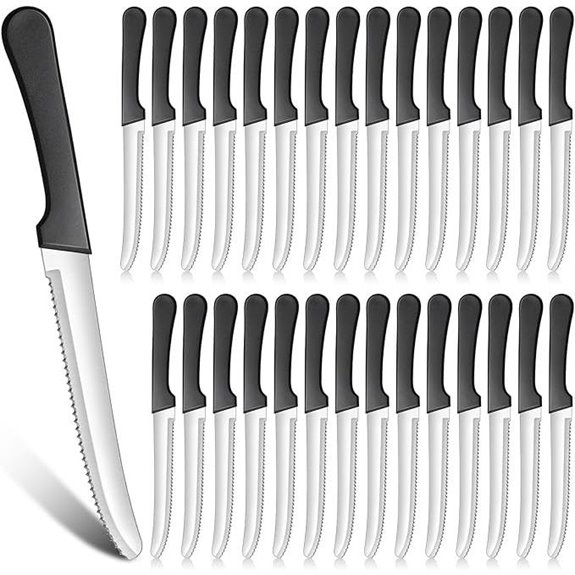 Zhehao 30 Pack Serrated Steak Knives with Handles